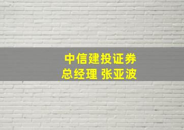 中信建投证券总经理 张亚波